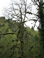 2016-05-03 15.13.41